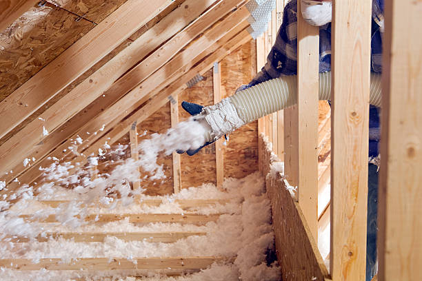 Best Spray Foam Insulation  in Doylestown, OH